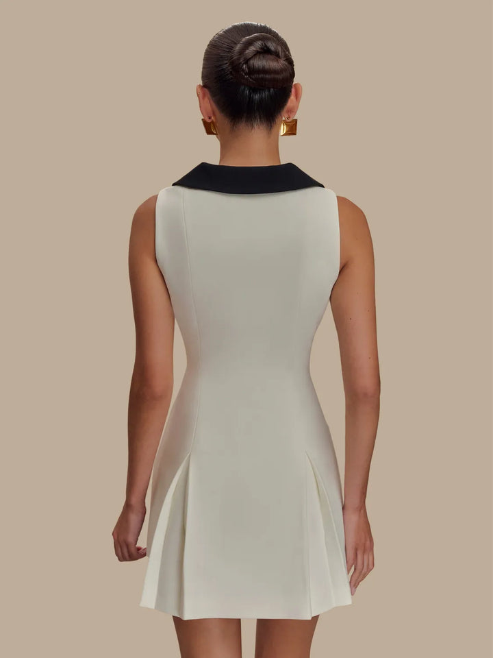 Ludowika Button Front Sleeveless Mini Dress