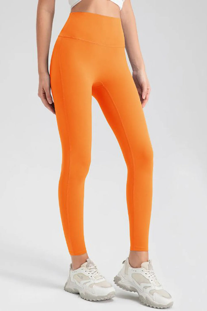 Ludowika High Waist Skinny Active Pants