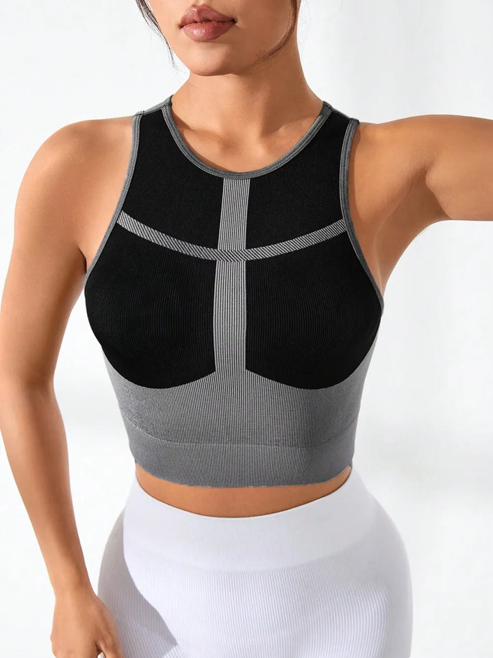 Ludowika Color Block Round Neck Active Tank