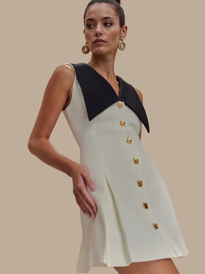 Ludowika Button Front Sleeveless Mini Dress